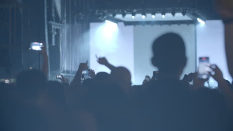 strobe lights and excited music fans at the concert