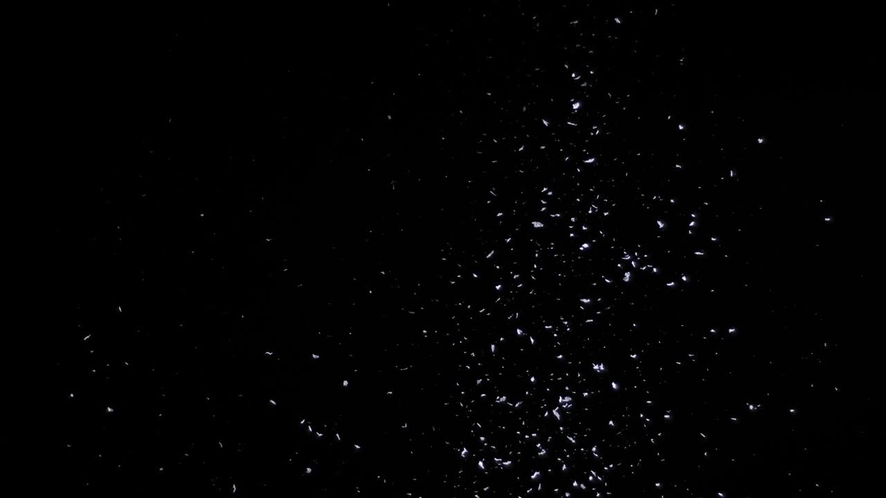 Faldende sne ned på den sorte baggrund
