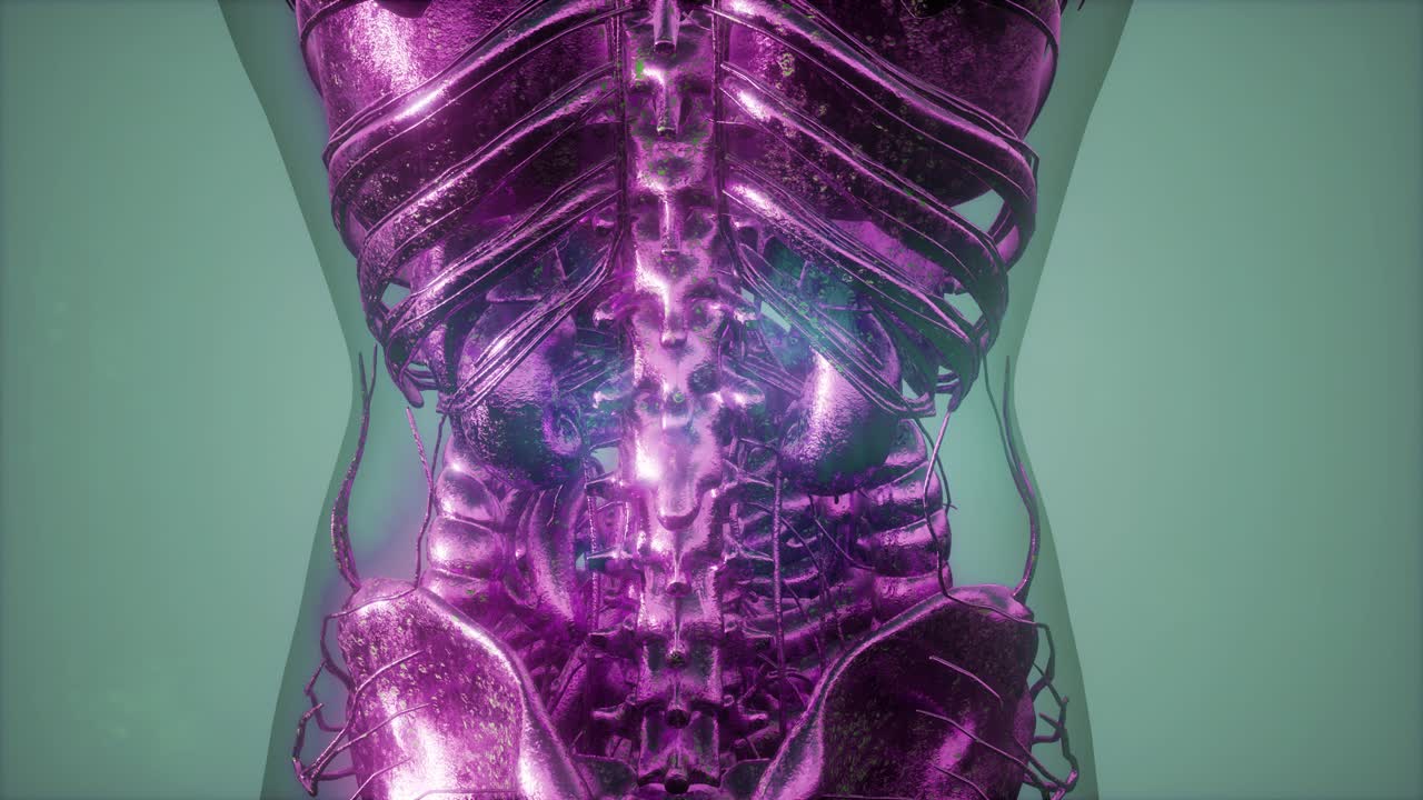 exploración radiográfica de los huesos del esqueleto humano