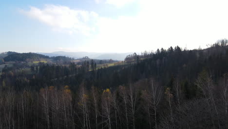 a flyby from the ground over the treetops revealing a hilly landscape in the background