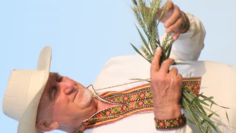 an elegant old ukrainian peasant is holding young sprouts of wheat in the middle of a field an elegant old ukrainian peasant is holding young sprouts of wheat in the middle of a field a happy and satisfied farmer against the background of the blue sky