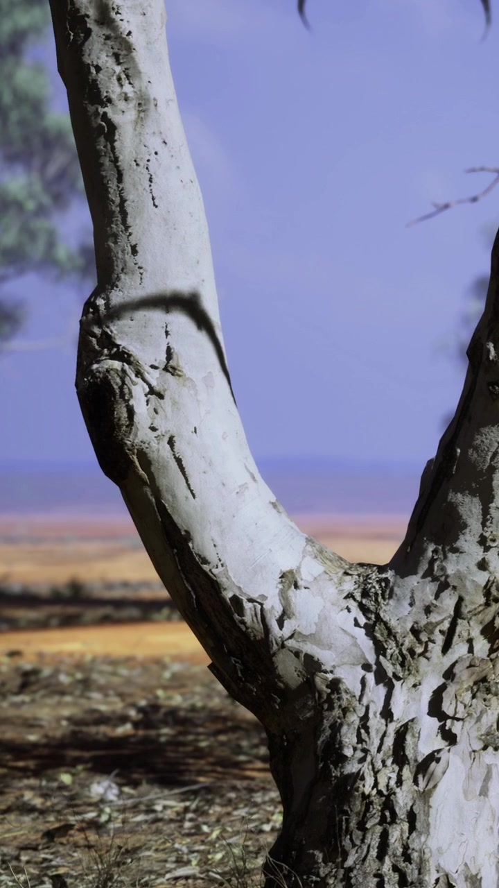 Tree trunk near open field under blue sky