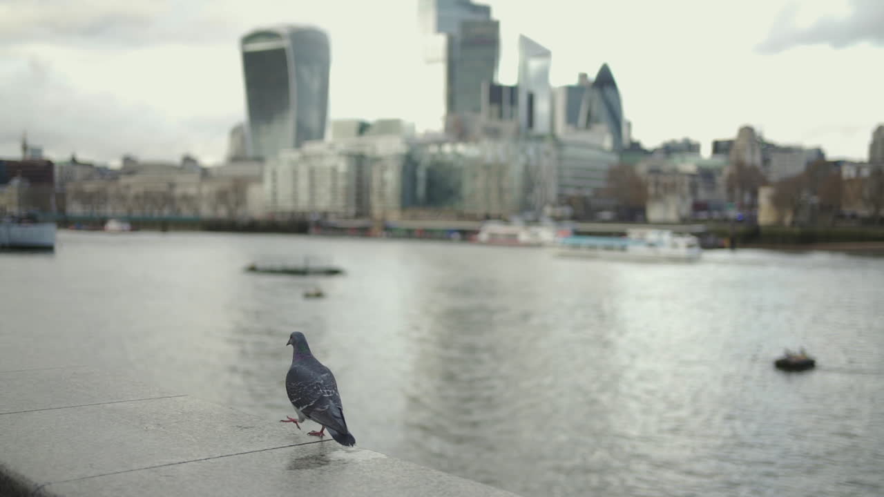 런던, 영국, 영국