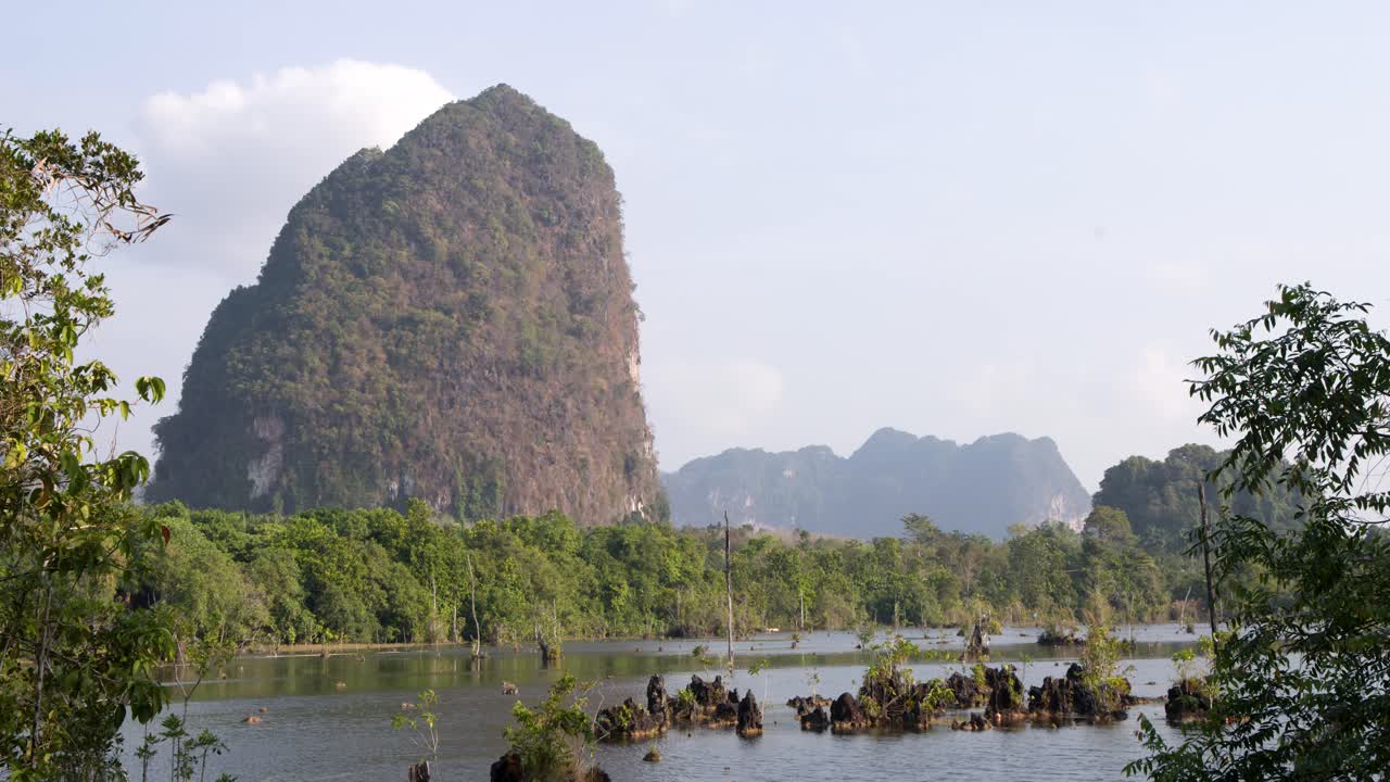 Ảnh toàn cảnh tĩnh về một ngọn núi đá vôi karst khổng lồ nhô lên trên một đầm lầy nhiệt đới tươi tốt