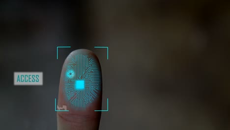 fingerprint scanning futuristic technology , with circuit digital security system.