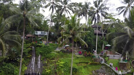 aerial, tourists enjoying activities and photo spots at alas harum agritourism object, ubud - bali