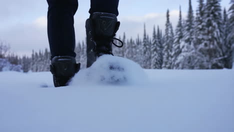 Person Walking Through Deep Snow in Winter Landscape