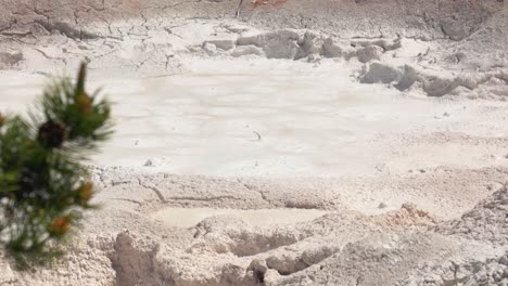 closeup of bubbling mud pot in yellowstone national park