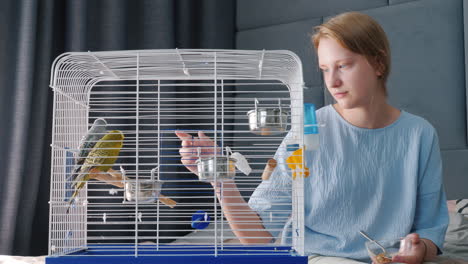 young woman feeding parakeets in their cage