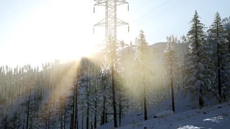 electric line at sunrise