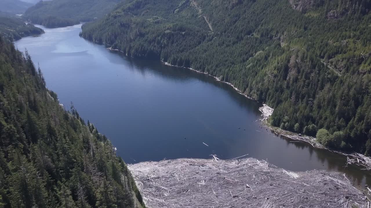 большой плот из плавающего валежника на берегу озера