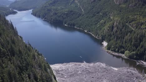 una gran balsa de madera muerta flotante en la orilla de un lago