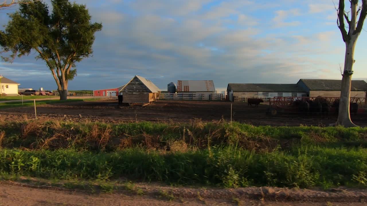 저녁 골든 아워 동안 시골 네브래스카를 통해 운전하는 동안 운전석을 통해 pov