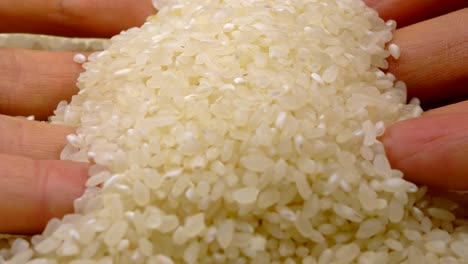 human hand taking pinch of raw rice