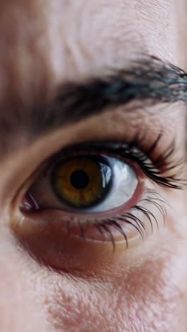 primer plano de un ojo humano