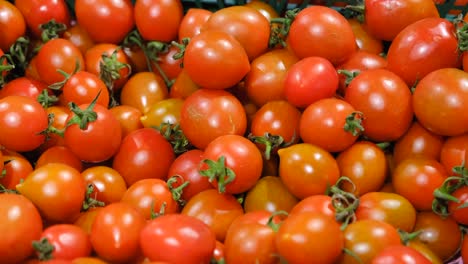 cherry tomatoes at the vegetable market cherry tomatoes at the vegetable market variety of small tomatoes