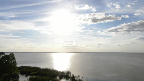 volando sobre los árboles en un parque junto al lago para revelar un atardecer de primavera en florida