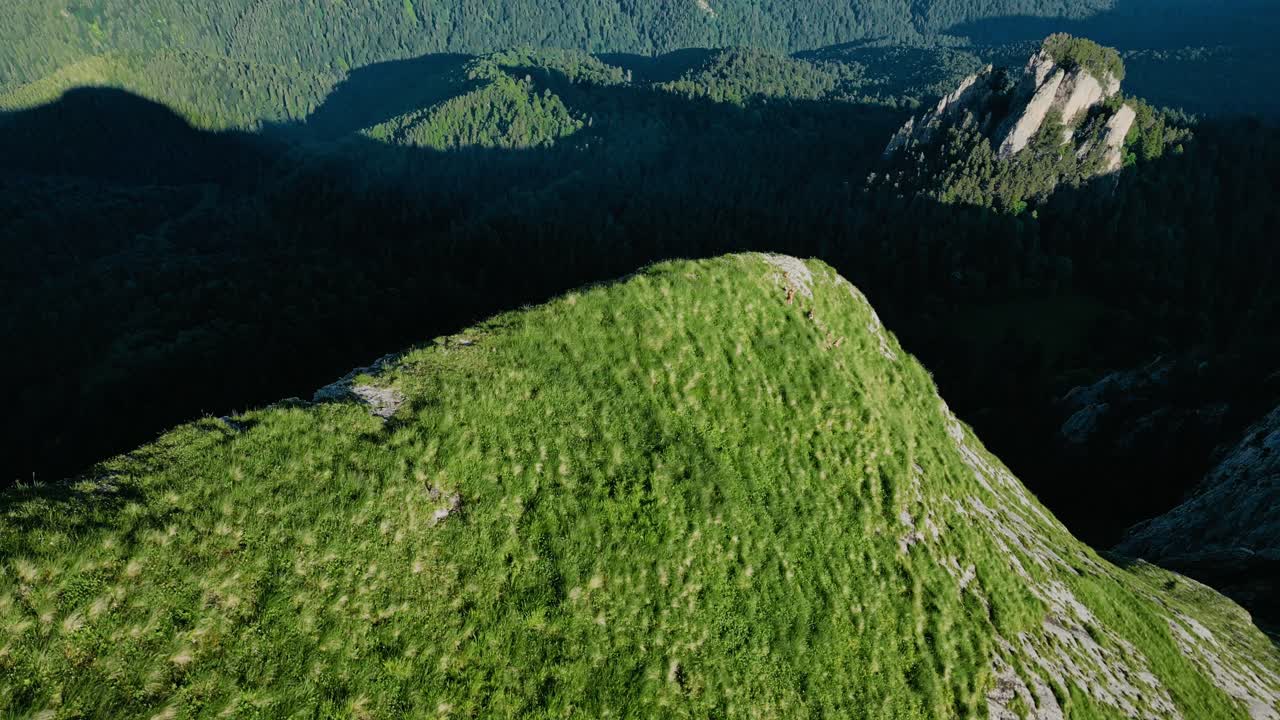 푸른 야생 꽃 산  ⁇ 의 절벽은 어두운 깊은 계곡, 베트남을 향해 기울어져 있습니다.