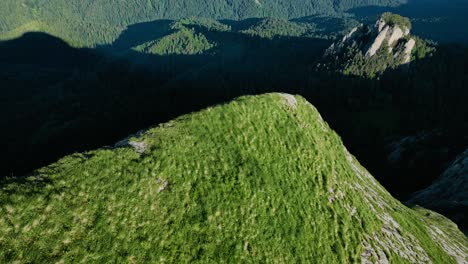 Grassy-wildflower-mountain-side-cliff-tilt-down-towards-dark-deep-valley,-vietnam