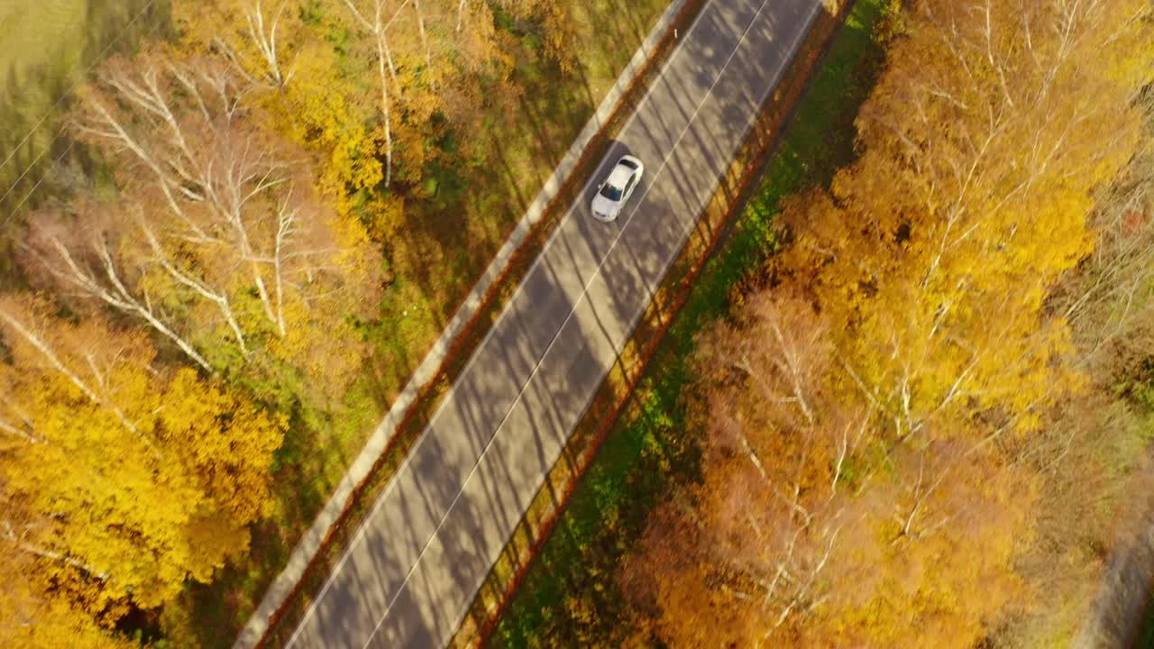 가을 에 시골 도로 에서 이동 하는 차량 의  ⁇  에서 내려다보는 모습 - 드론  ⁇