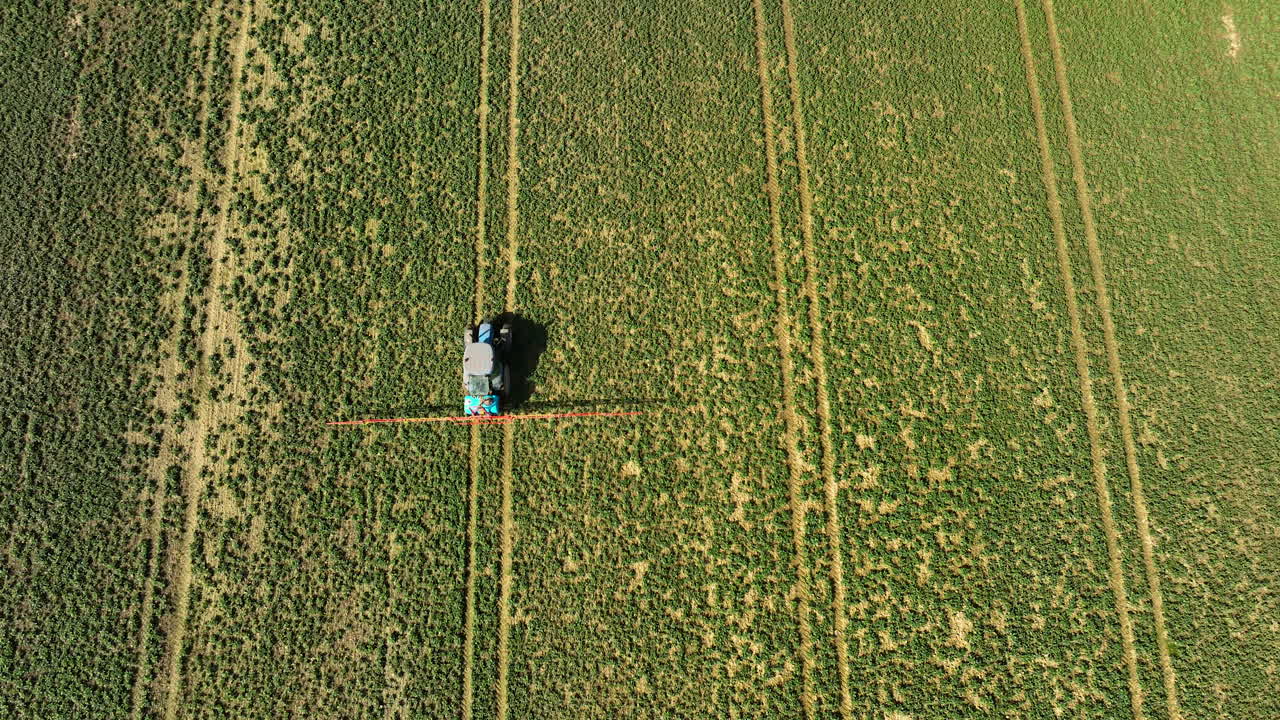 disparo aéreo, un tractor azul y blanco es capturado rociando cultivos en un vasto campo verde, marcado por líneas paralelas que indican pases anteriores