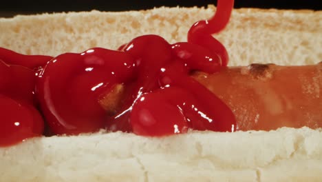 hot dog with ketchup