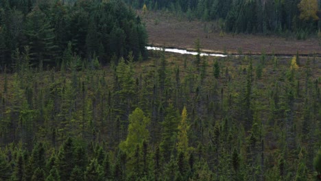 Schöne-Aussicht-über-Die-Typisch-Kanadische-Landschaft-Mit-Buntem-Herbstwald-Im-Algonquin-Park,-Kanada-Herbst