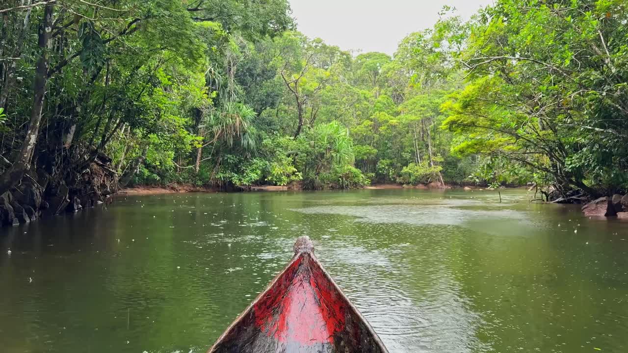 Taking a Pirogue (hand made canoe) up the river in the rain, into Masuala National Park in Madagascar, Africa 4K
