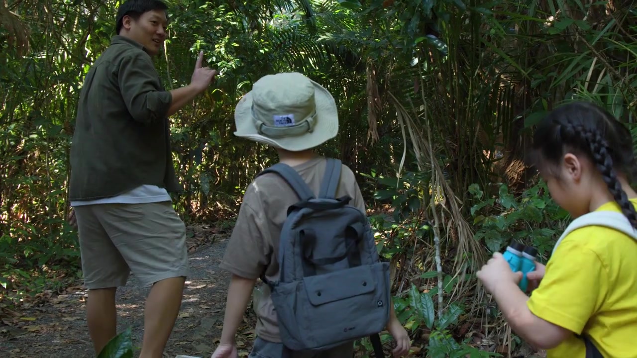 A family with backpacks walks through a dense green forest under bright natural sunlight
