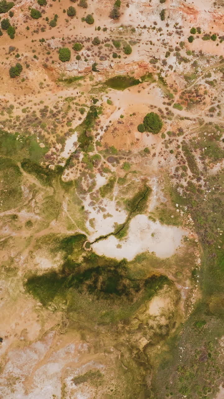 Descending to a dry land of Travertine Hot Springs in California, USA. Scarce greenery growing on the lifeless landscape. Top view. Vertical video
