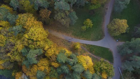 Toma-Aérea-En-órbita-De-Arriba-Hacia-Abajo-De-Un-Claro-De-Bosque-En-Un-Parque-En-Vilnius,-Lituania-Con-Vibrante-Follaje-Otoñal