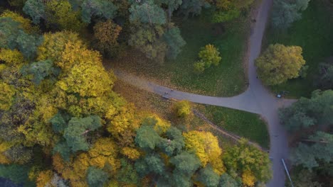 fotografía aérea de arriba hacia abajo en órbita de un claro forestal en un parque en vilna, lituania con un follaje de otoño vibrante