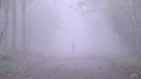 a jogger appears from out of thick fog on a tree lined pathway in a park