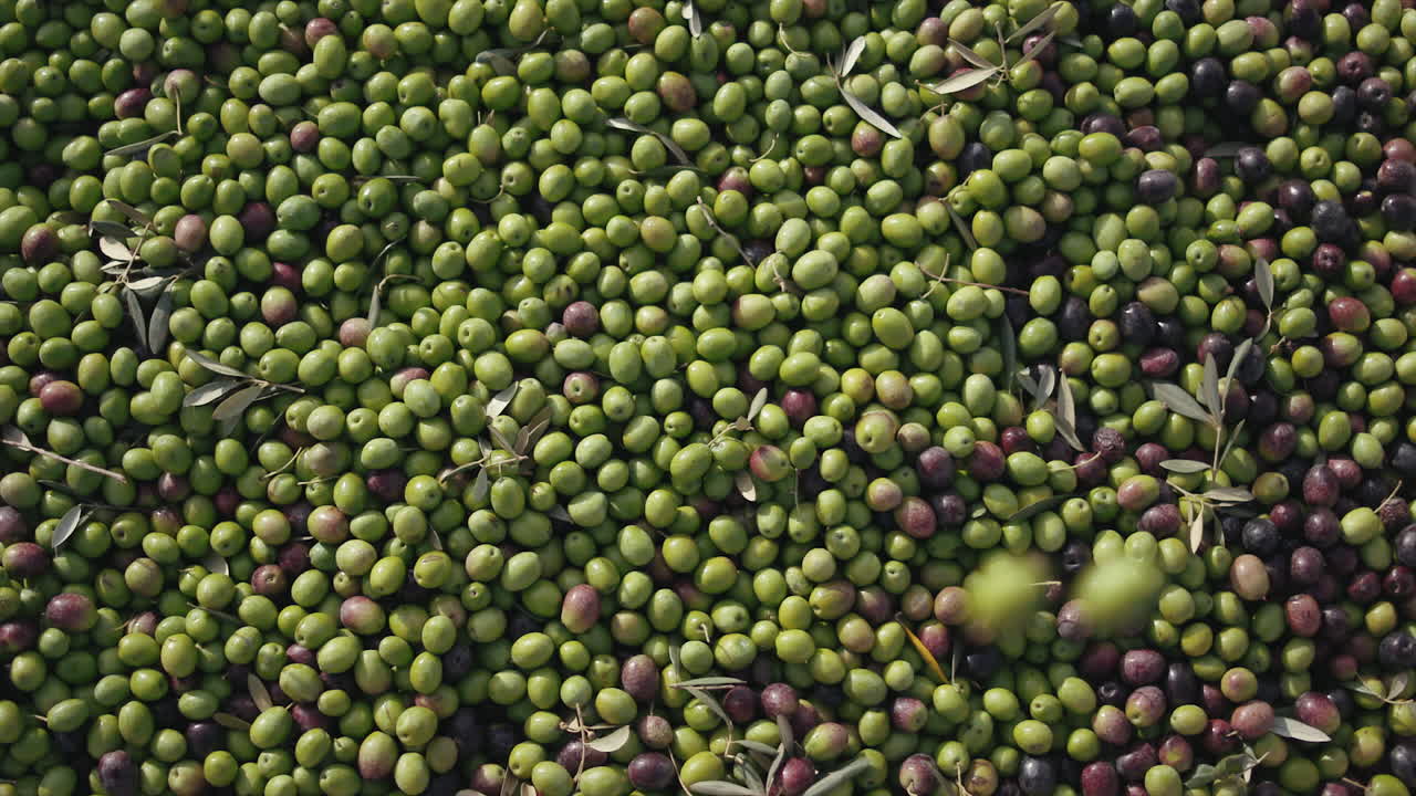 Olives close-up