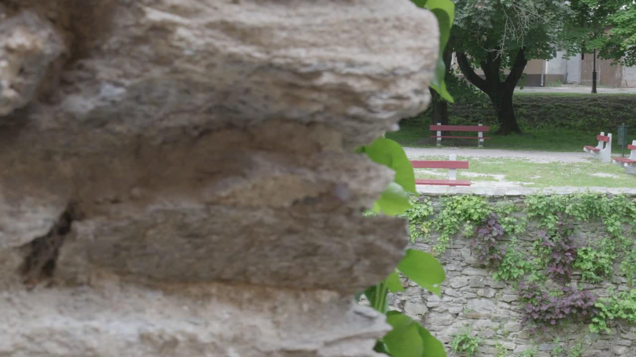 Panning view from stone wall to tranquil public park