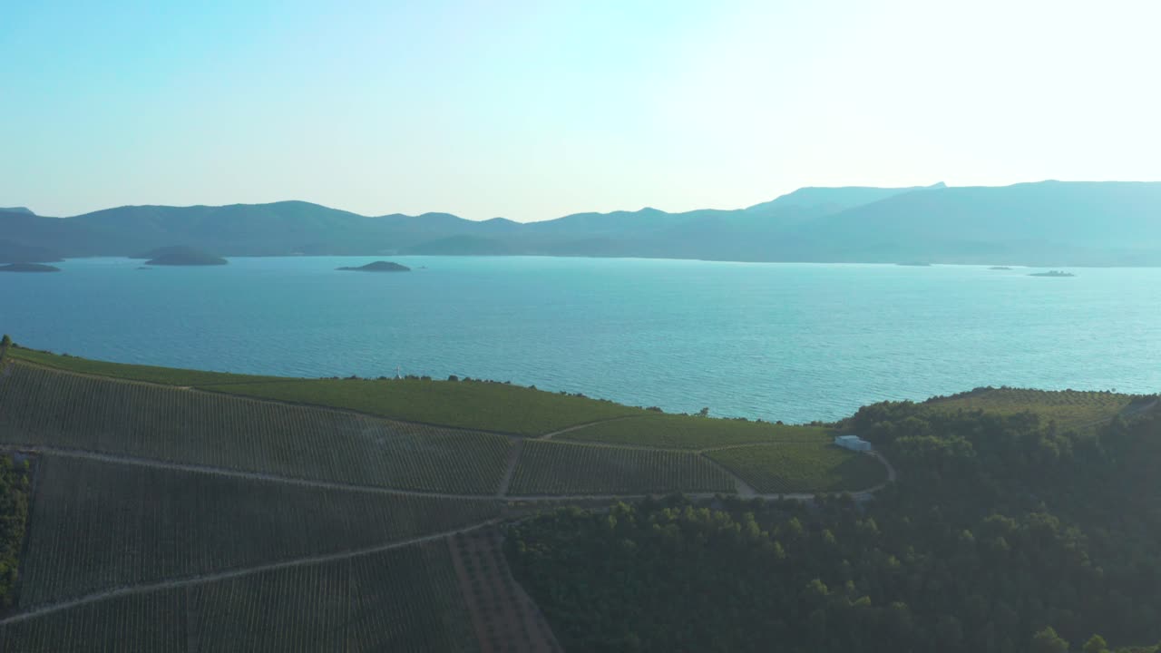 Rising aerial shot revealing huge vineyard located right next to the Adriatic sea, Croatia