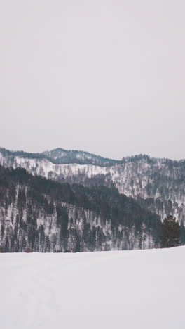 giant forestry mountains covered with white snow on cloudy winter day. seismic hazard in snowy highland of gorny altai due to geological location