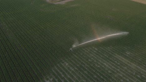 imágenes de drones de rociadores de riego de campo rociando agua al atardecer