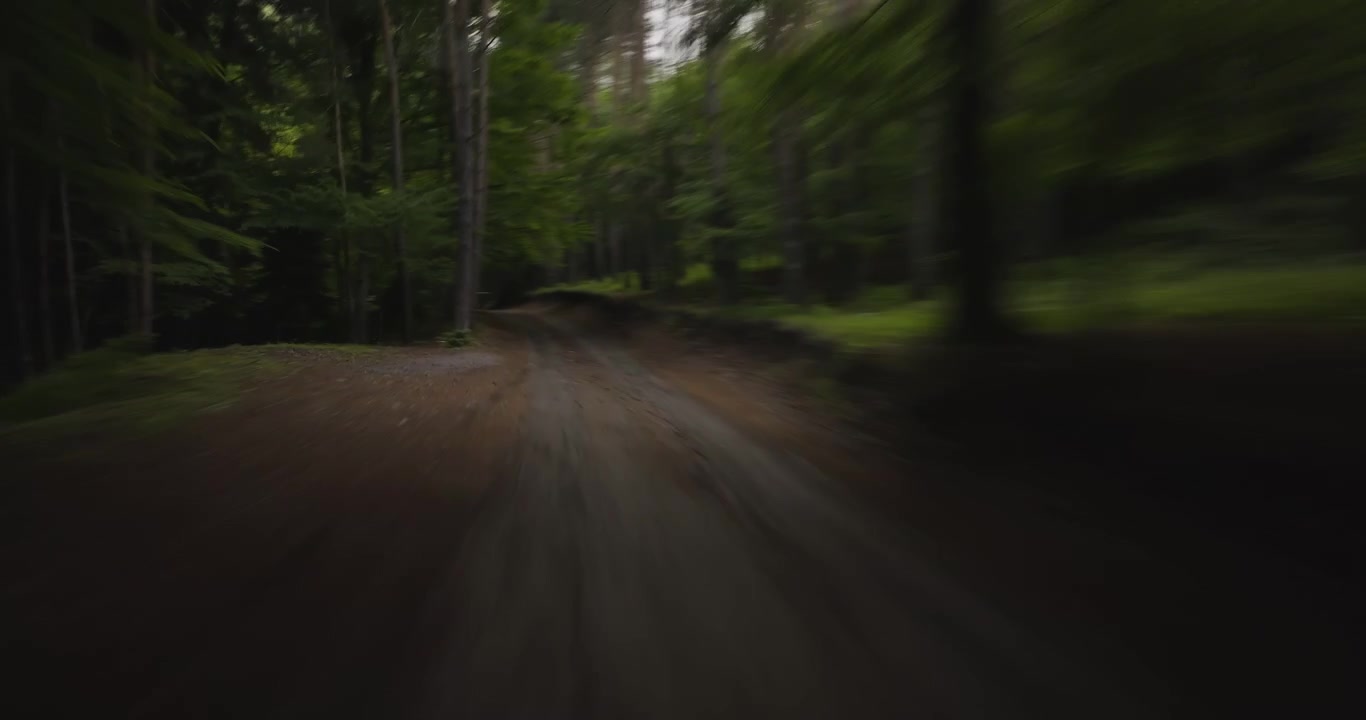 Viaggio veloce attraverso una misteriosa strada forestale fantastica, in prima persona.