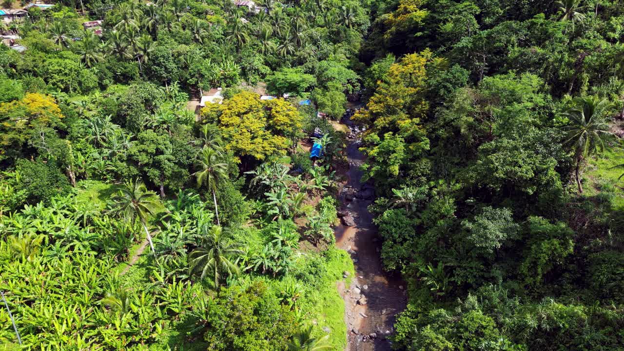río entre los árboles verdes en un día soleado en las filipinas