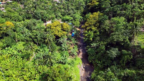 fluss zwischen den grünen bäumen an einem sonnigen tag auf den philippinen