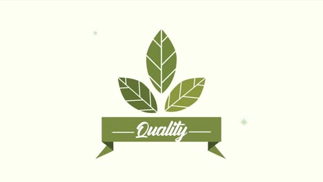 emblema de calidad del producto ecológico con hojas