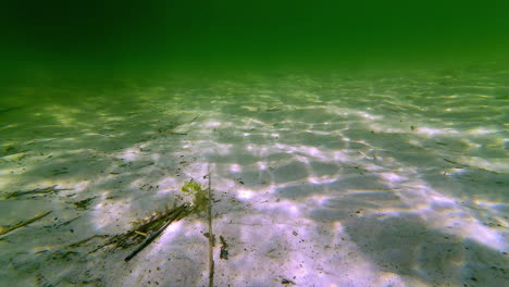 the floor of a sandy freshwater lake as seen by a scuba diver