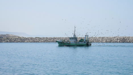 fishing boat returning to harbour followed by seagulls