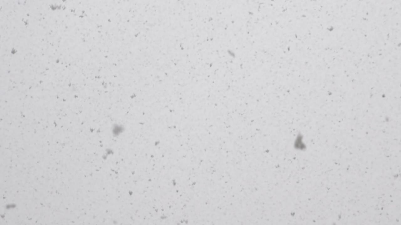 회색과 구름이 많은 하늘 배경에 눈이 내리고 있습니다. 눈이 내리는 날씨. 겨울 자연