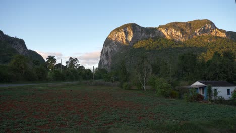 vista del valle de viñales, mogotes, montañas, casas de agricultores, paisaje cubano