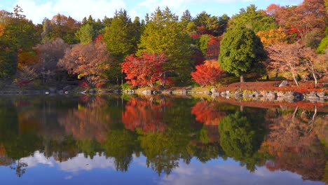 stunning fall color reflections in water inside japanese landscape garden