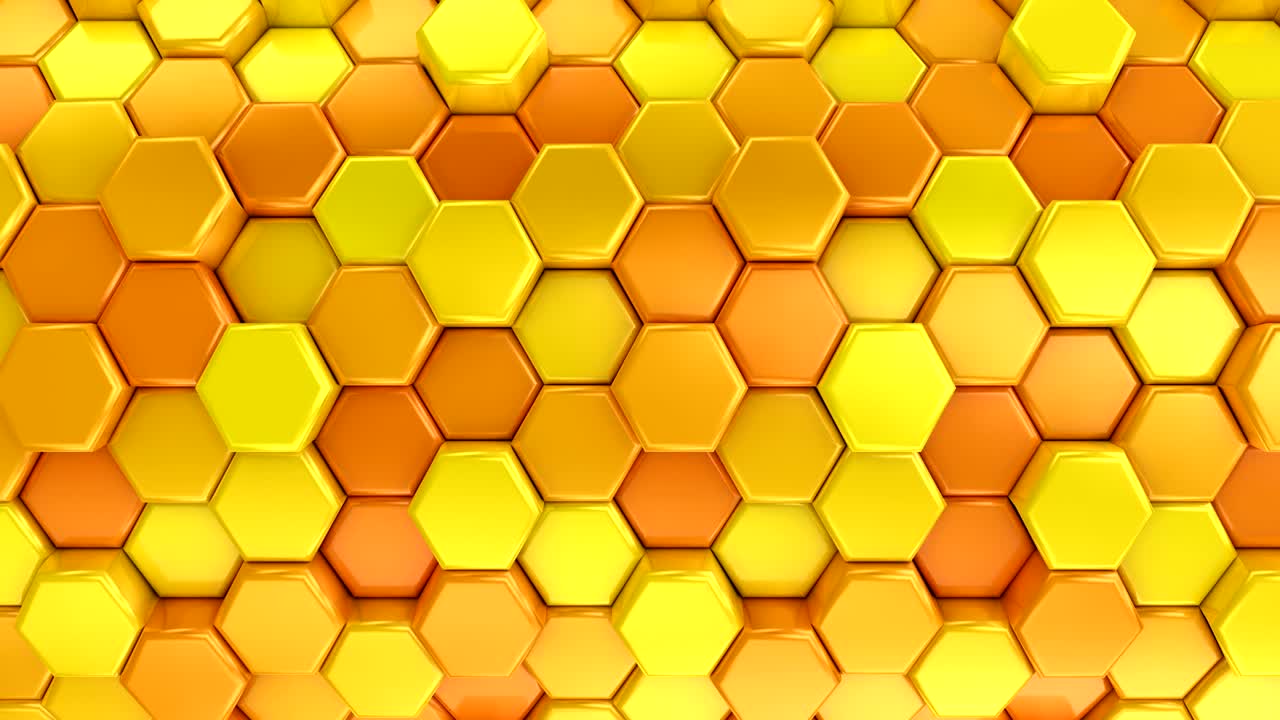 Nidi d'ape animati che cambiano colore