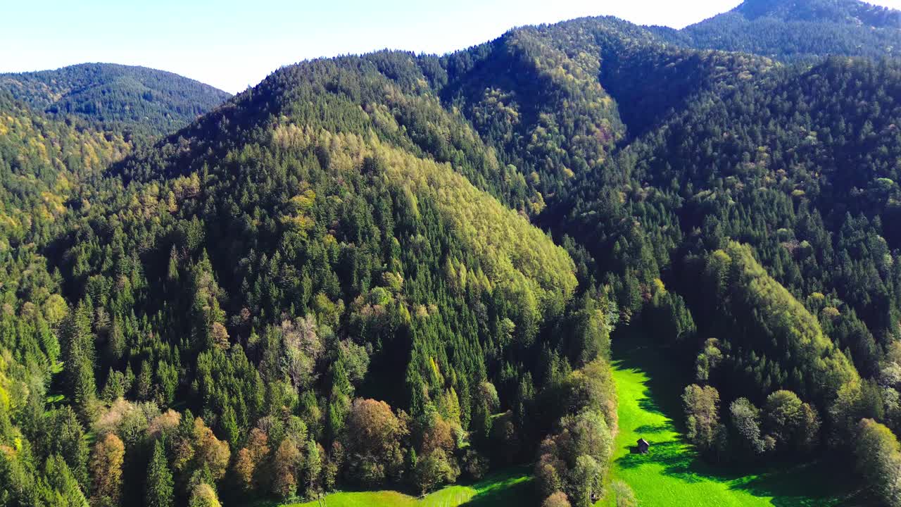 vuelo aéreo sobre un bosque verde en una ladera de la montaña, 4k