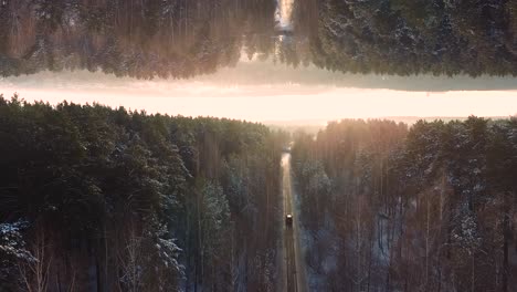 winter forest road with inverted reflection